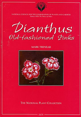 DIANTHUS