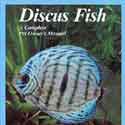 DISCUS FISH