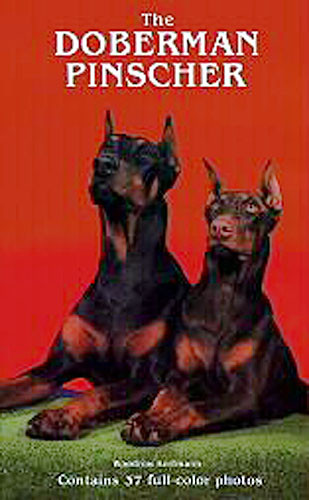 DOBERMANN PINSCHER