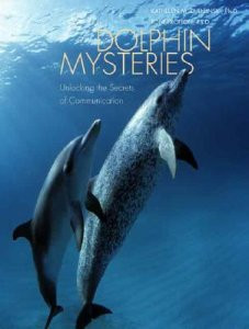 DOLPHIN MYSTERIES