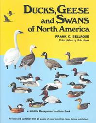 DUCKS, GEESE AND SWANS OF N.AMERICA