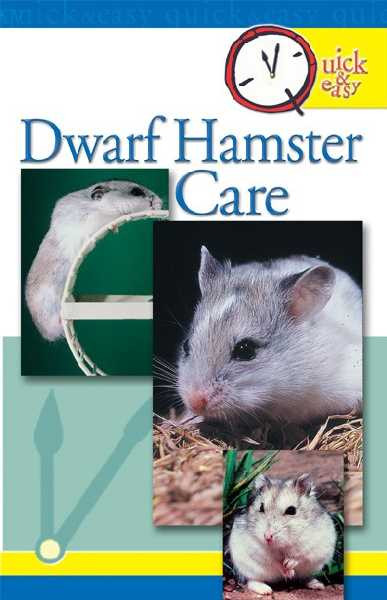 DWARF HAMSTER CARE