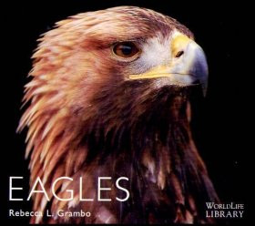 EAGLES