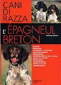 EPAGNEUL BRETON