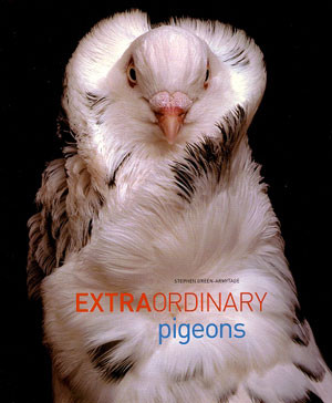 EXTRAORDINARY PIGEONS