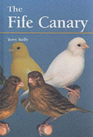 FIFE CANARY