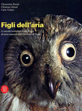 FIGLI DELL ARIA