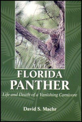 FLORIDA PANTHER