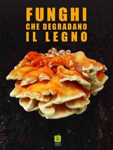 FUNGHI CHE DEGRADANO IL LEGNO