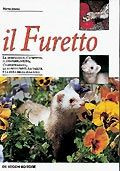 FURETTO