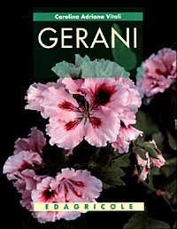 GERANI