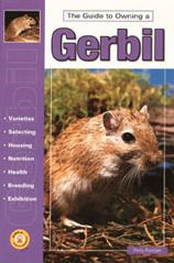 GERBIL, GUIDE TO OWNING A