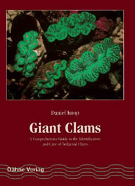 GIANT CLAMS