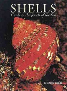 SHELLS. GUIDE TO THE JEWELS OF THE SEA