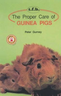 PROPER CARE OF GUINEA PIGS