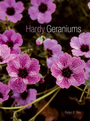 HARDY GERANIUMS