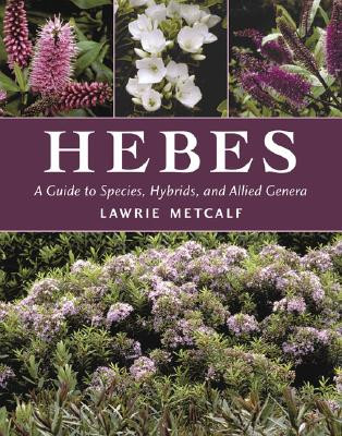 HEBES