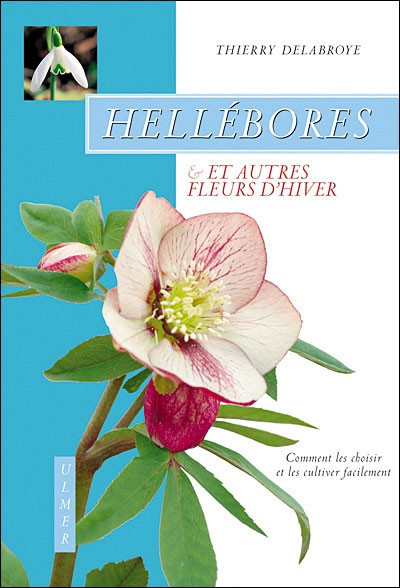 HELLEBORES & AUTRES FLEURS D HIVER