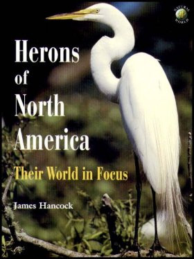 HERONS OF THE NORTH AMERICA
