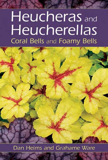 HEUCHERAS AND HEUCHERELLAS