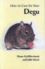 HOW TO CARE FOR YOUR DEGU