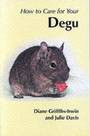 HOW TO CARE FOR YOUR DEGU