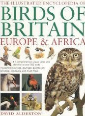 ILLUSTRATED ENCYCLOPEDIA OF BIRDS