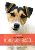 IL MIO JACK RUSSEL