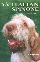 ITALIAN SPINONE