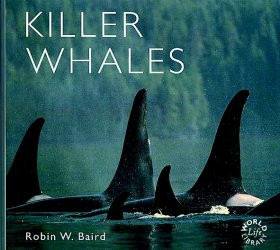 KILLER WHALES