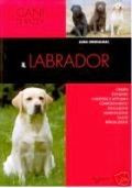 LABRADOR