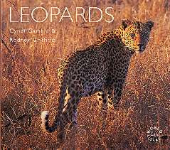 LEOPARDS