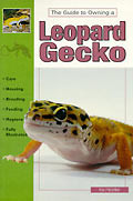 LEOPARD GECKO