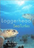 LOGGERHEAD SEA TURTLES