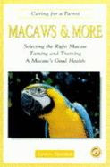 MACAWS & MORE