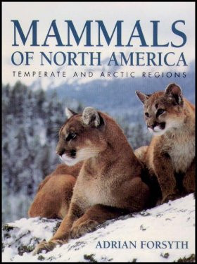 MAMMALS OF NORTH AMERICA