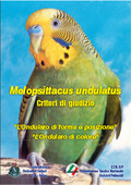 MELOPSITTACUS UNDULATUS (ONDULATI)