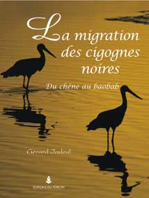 MIGRATION DES CIGOGNES NOIRES