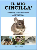 MIO CINCILLA 