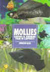 MOLLIES KEEPING & BREEDING THEM IN CAPTI