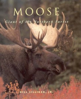 MOOSE