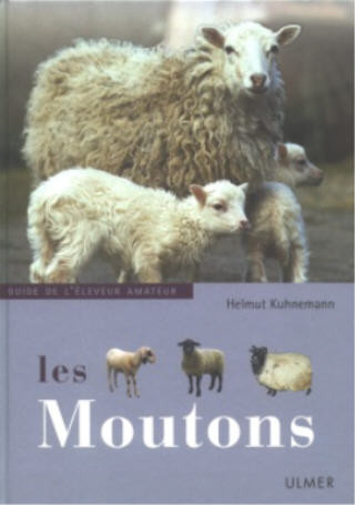 MOUTONS