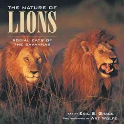 NATURE OF LIONS