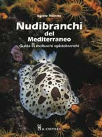 NUDIBRANCHI DEL MEDITERRANEO