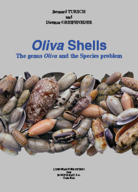 OLIVA SHELLS