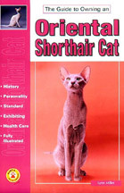 ORIENTAL SHORTHAIRE CAT