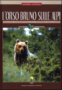 ORSO BRUNO SULLE ALPI