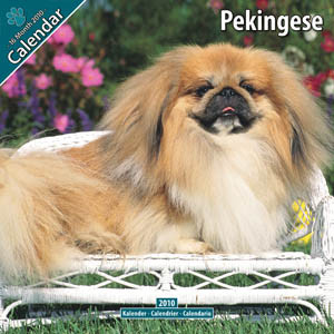 PEKINGESE 2010