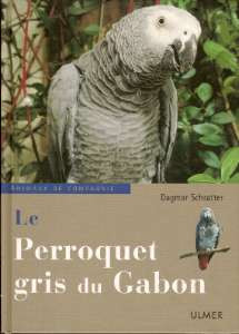 PERROQUET GRIS DU GABON