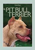 PIT BULL TERRIER